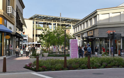 Broadway Plaza Shopping in Walnut Creek